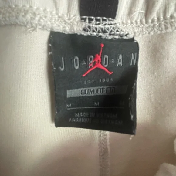 Jordan Brand Men's Beige Jogger Pants - Picture 4 of 11